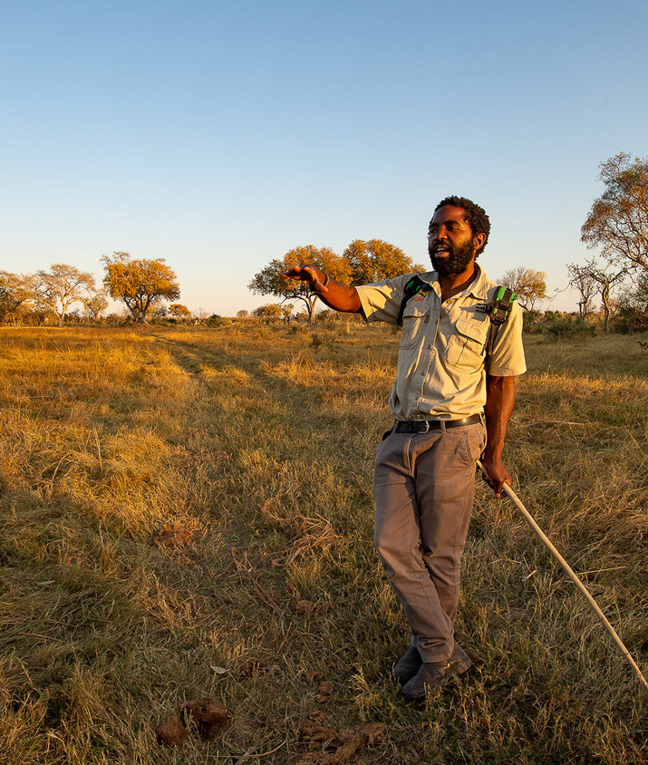 How to get into guiding