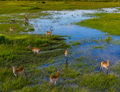 Sunway Botswana Helicopter Horizons-118 3