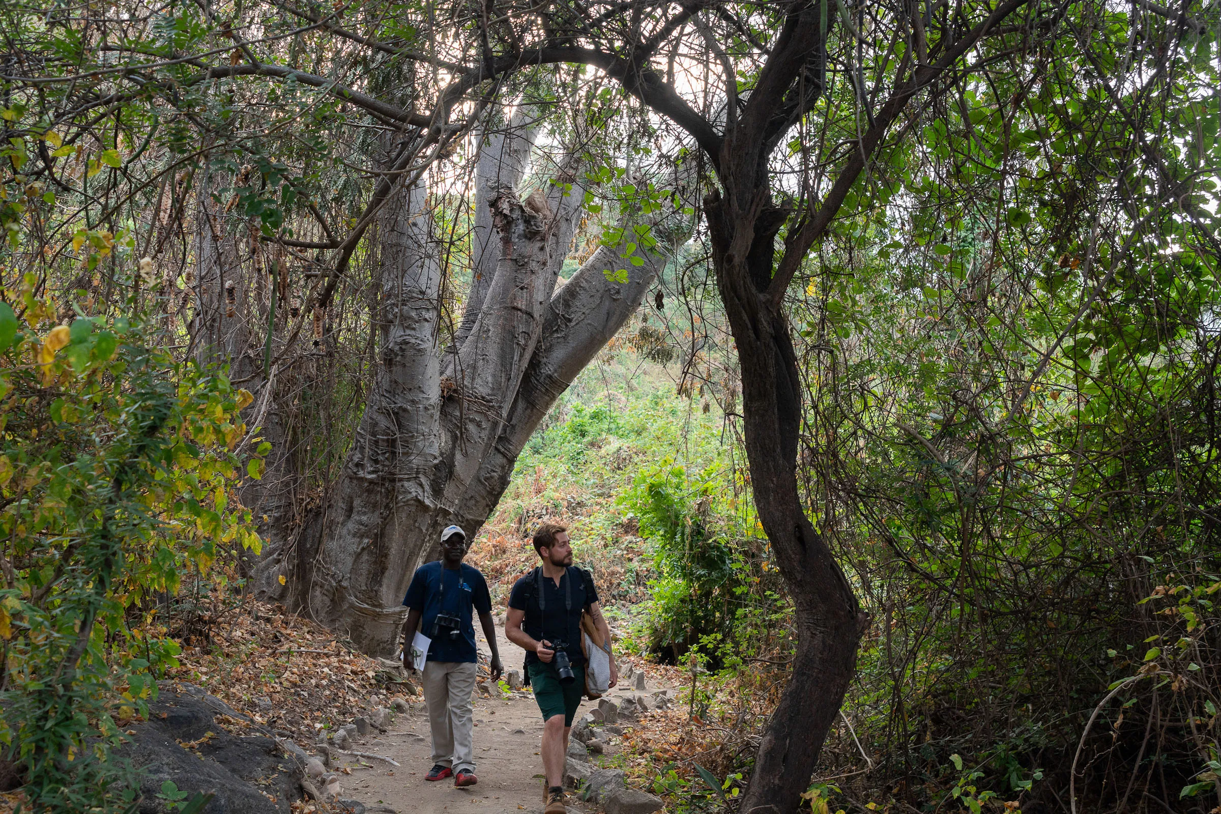 Sunway Malawi Blue Zebra Nature Trails