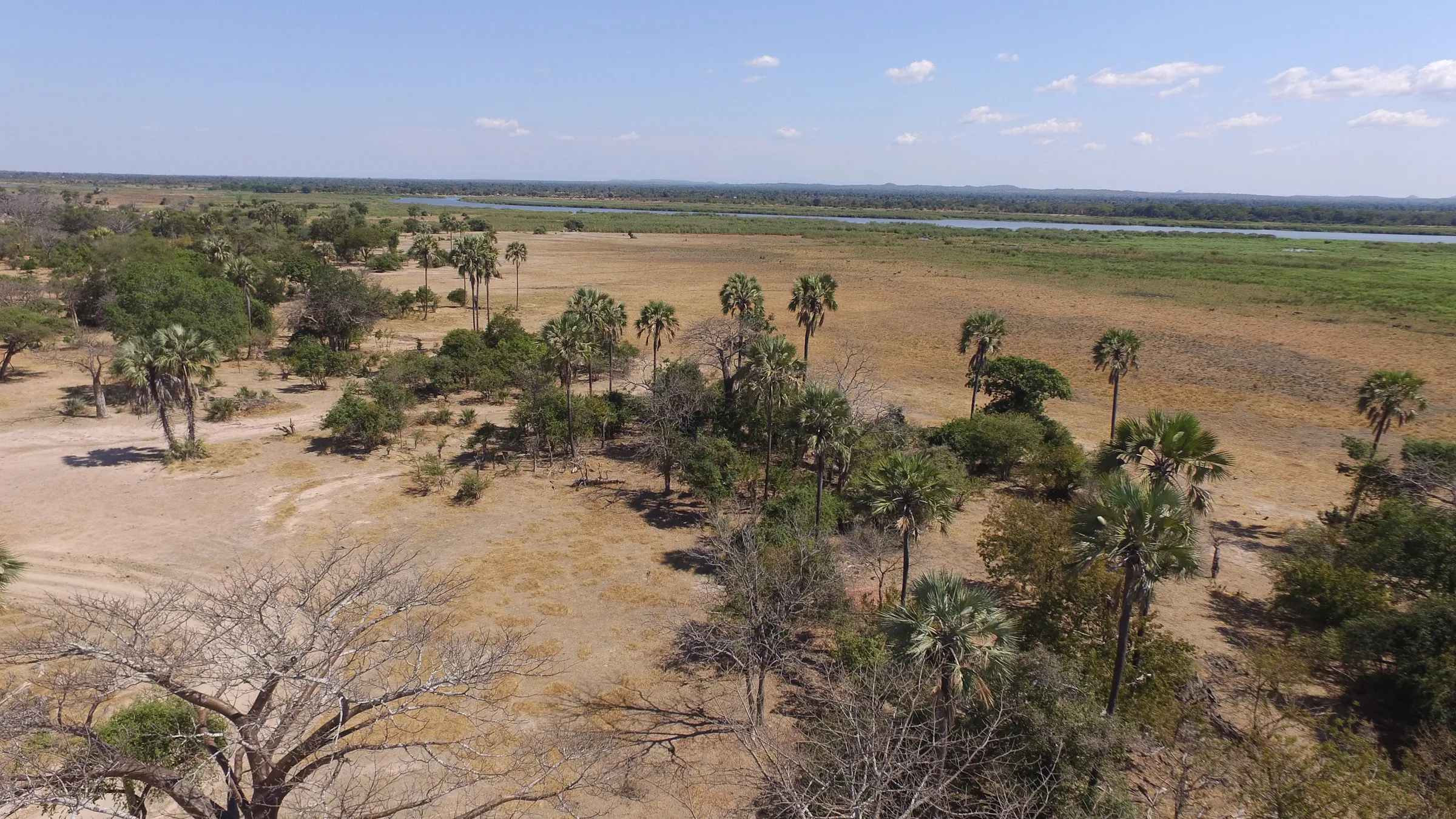 Sunway Malawi Bruce Taylor-0008