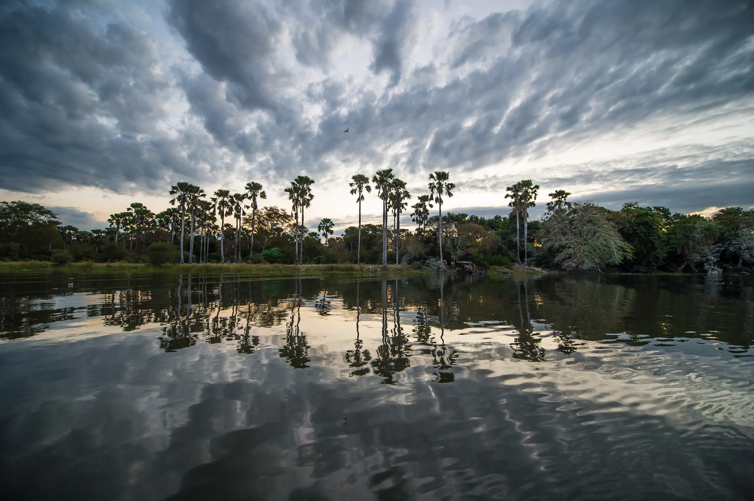 Sunway Malawi Liwonde NP Bruce Taylor-6622