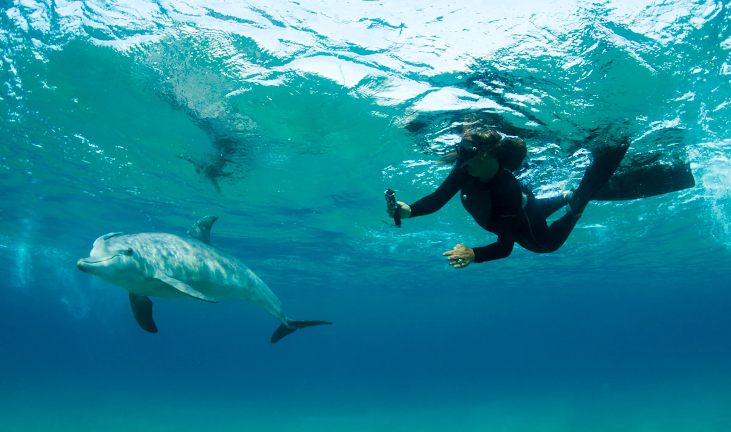 Sunway Mozambique Ponta do Ouro dolphin encounter DCA005