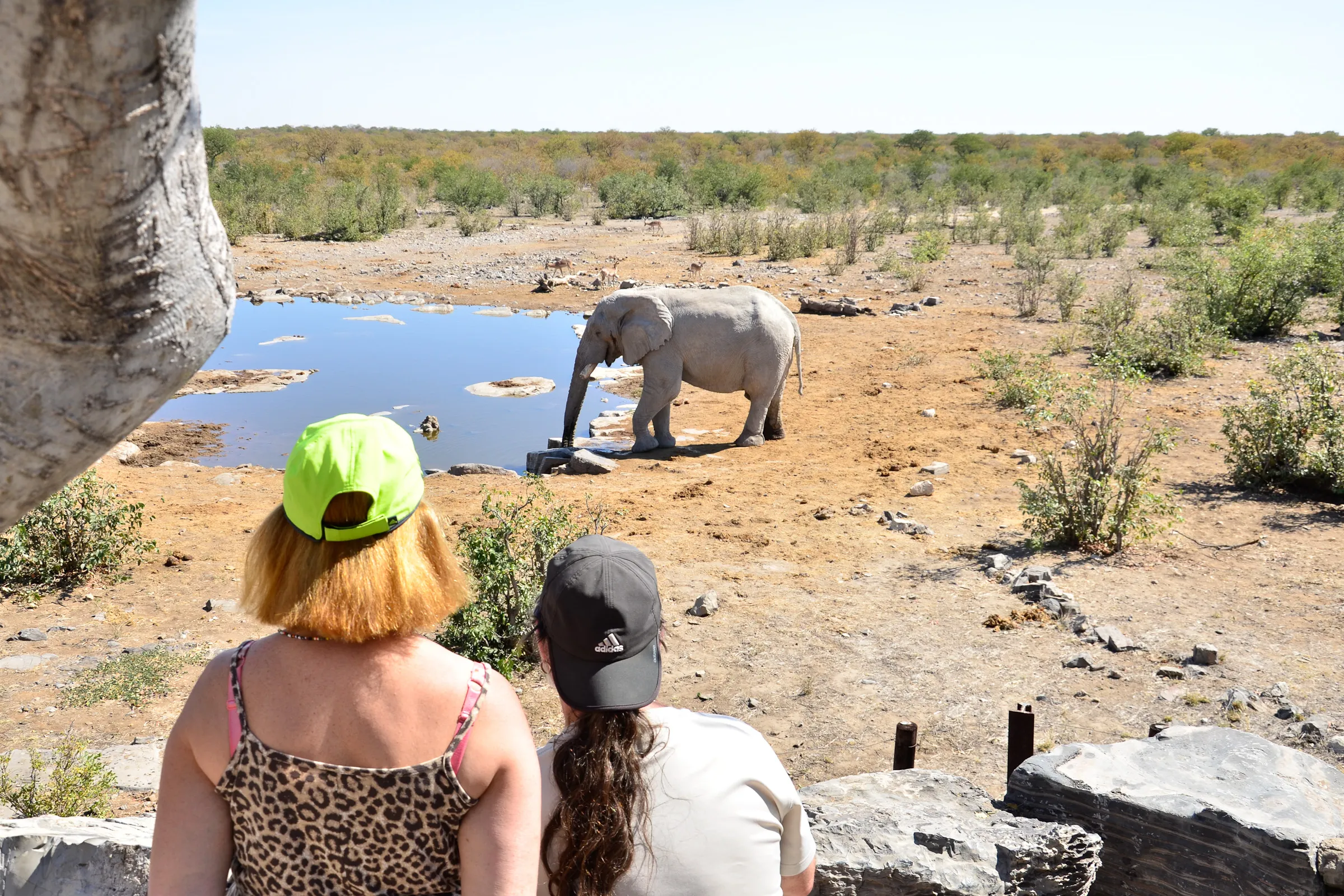 Sunway Namibia Etosha Halali waterhole - Rob Swanepoel-0162 (10)