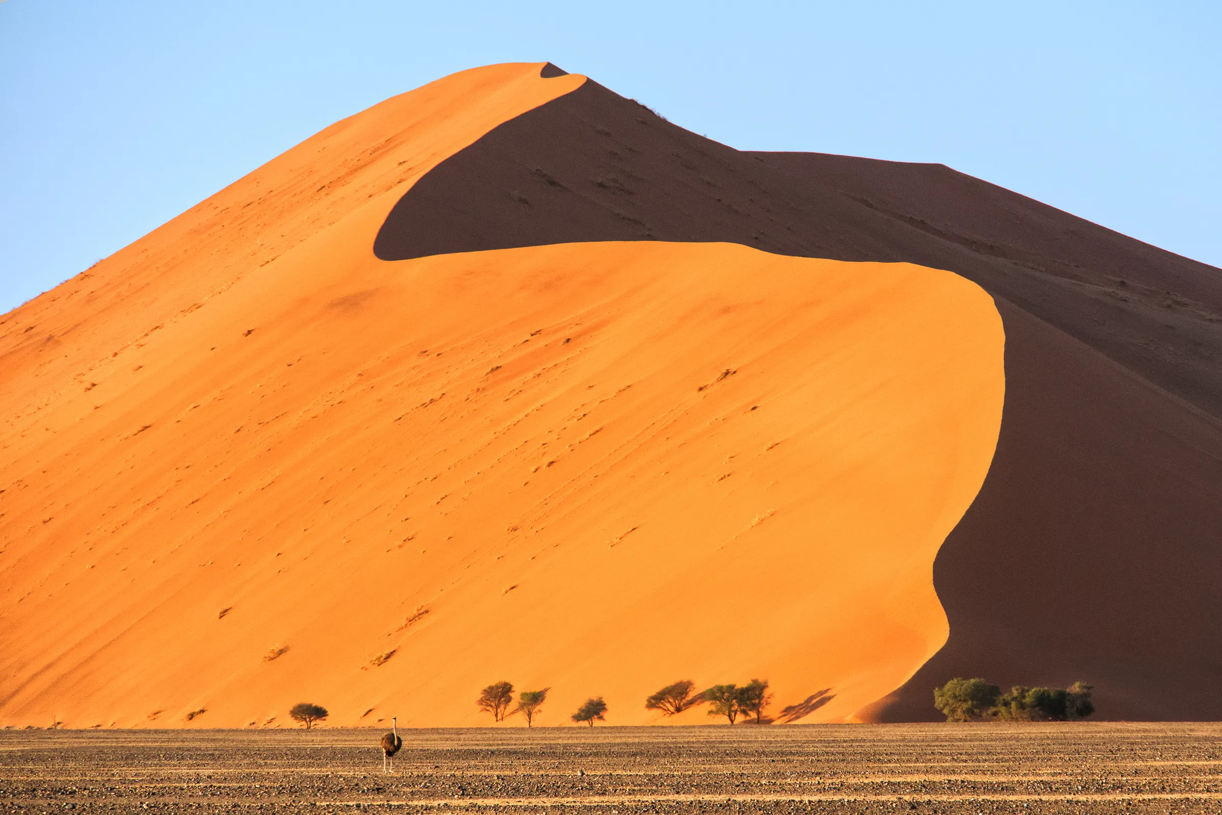 Sunway Namibia Sossusvlei lll_Ole Gedlich