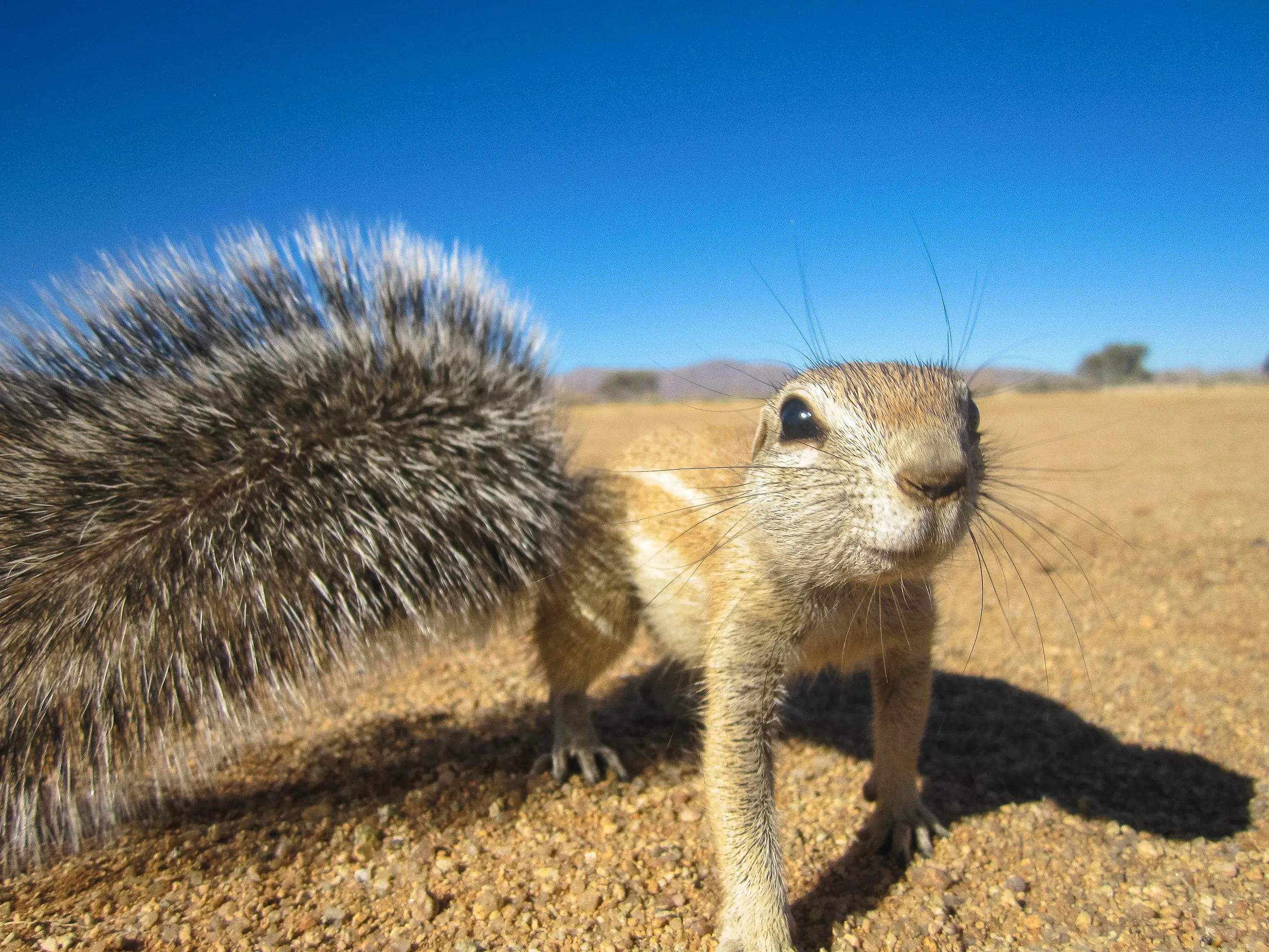 Sunway Namibia _Solitaire_Bruce_Taylor-4867