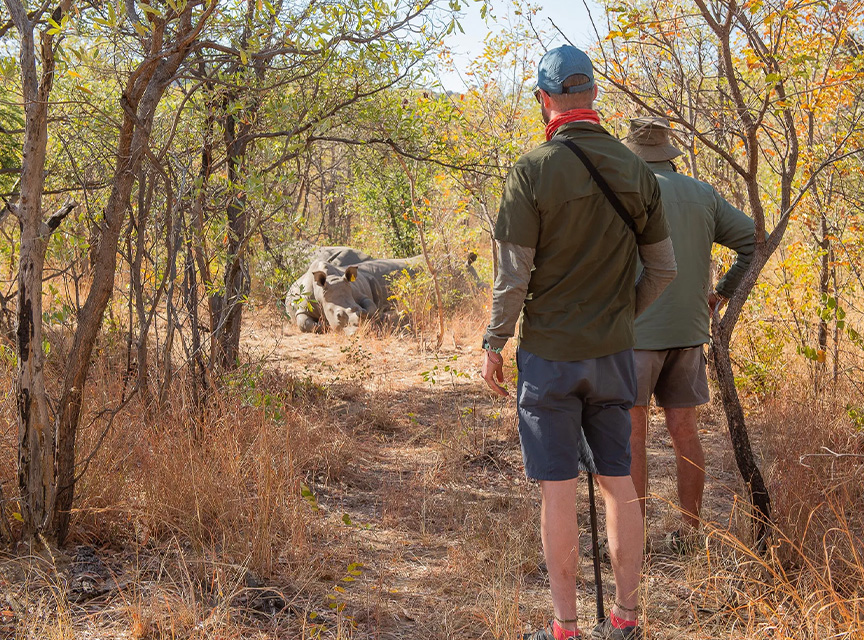 Sunway-Zimbabwe-Matobos-Bruce-Taylor-0848