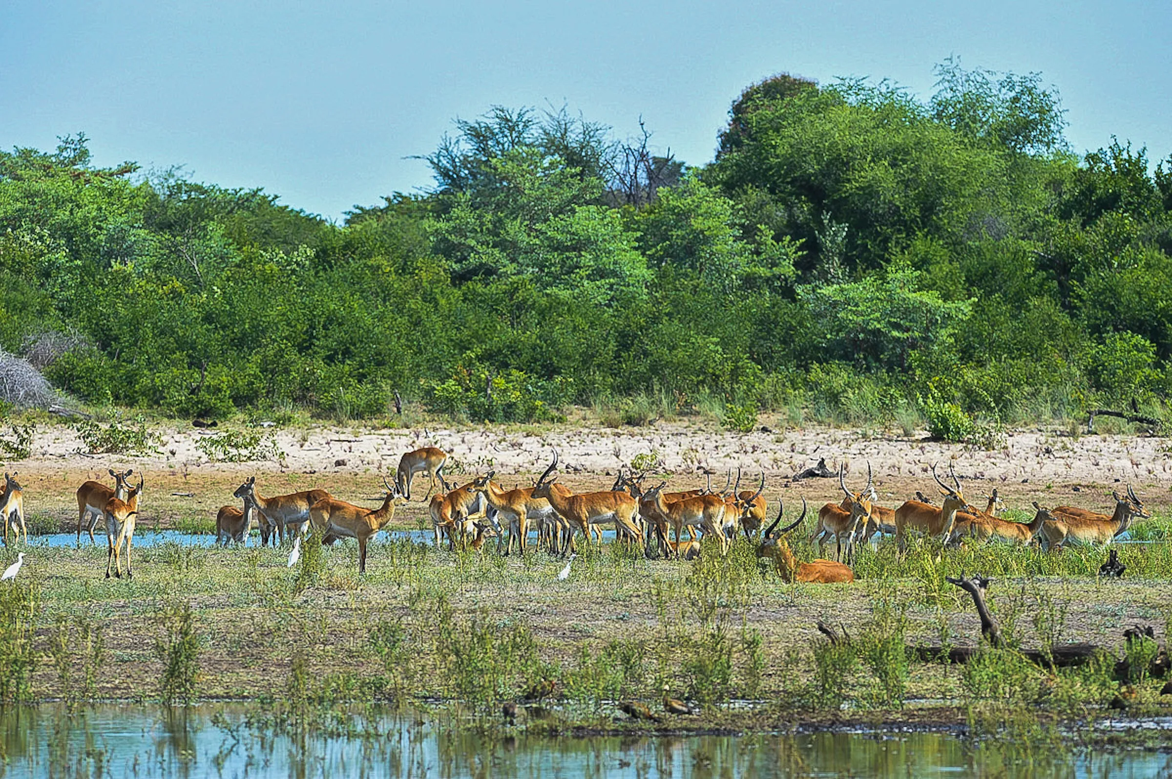 Sunway Namibia Mahangu National Park Bruce Taylor-4962